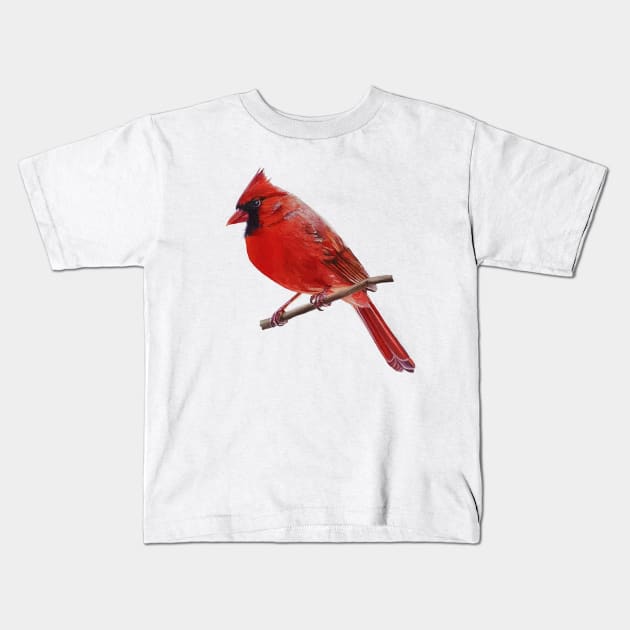 Northern Cardinal with leaves (no background) Kids T-Shirt by EmilyBickell